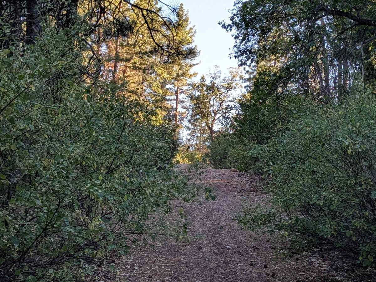 Fort Mountain - FS 53052 trail photo