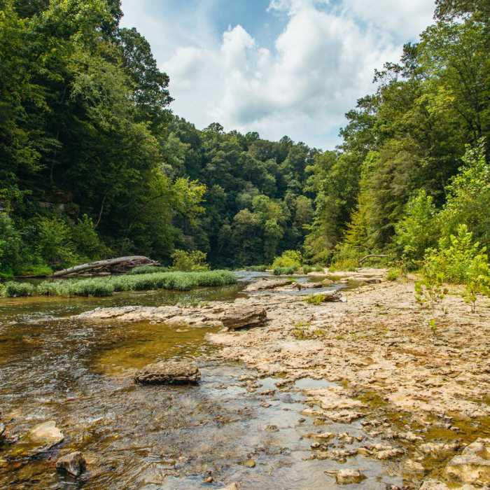 Near Cummins Falls State Park Hike