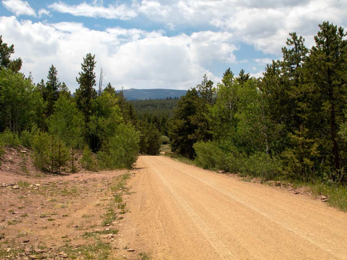 Browne Lake - FS 10096 photo 4