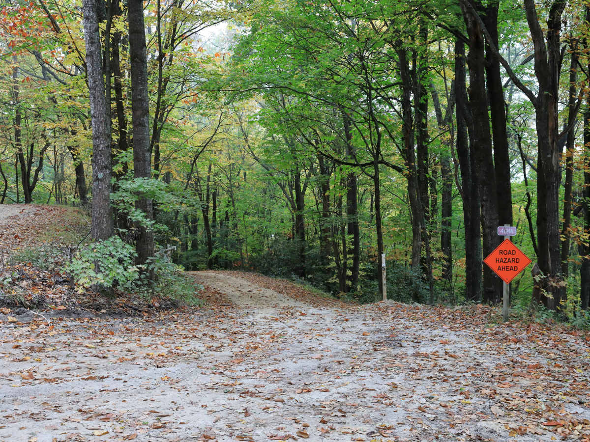 Lost Cove - FS 464A trail photo