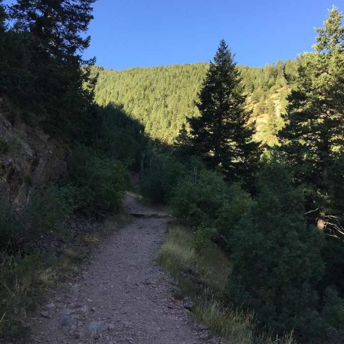 Near Rattlesnake Gulch Trail