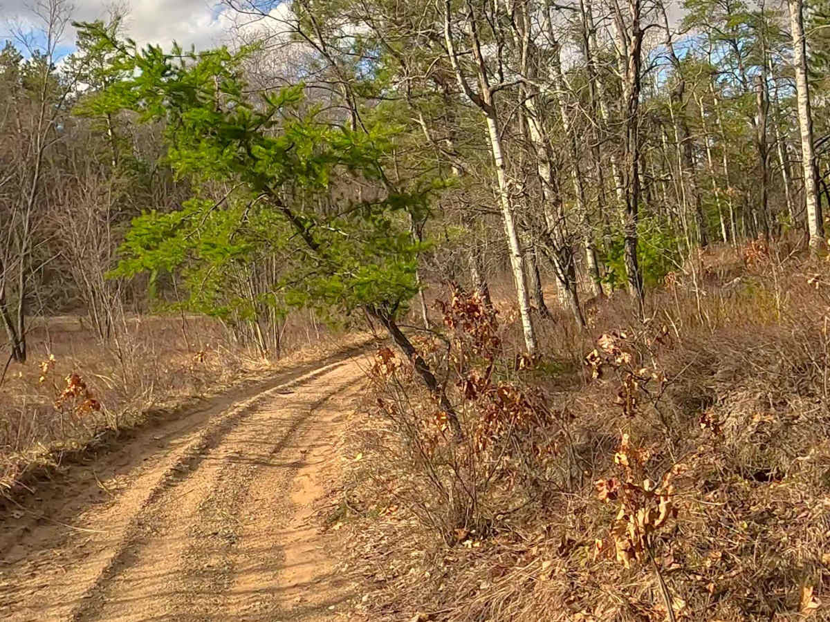 ORV H-57 : Bull Gap Hill Climb - Tertiary Return Loop <50" trail photo