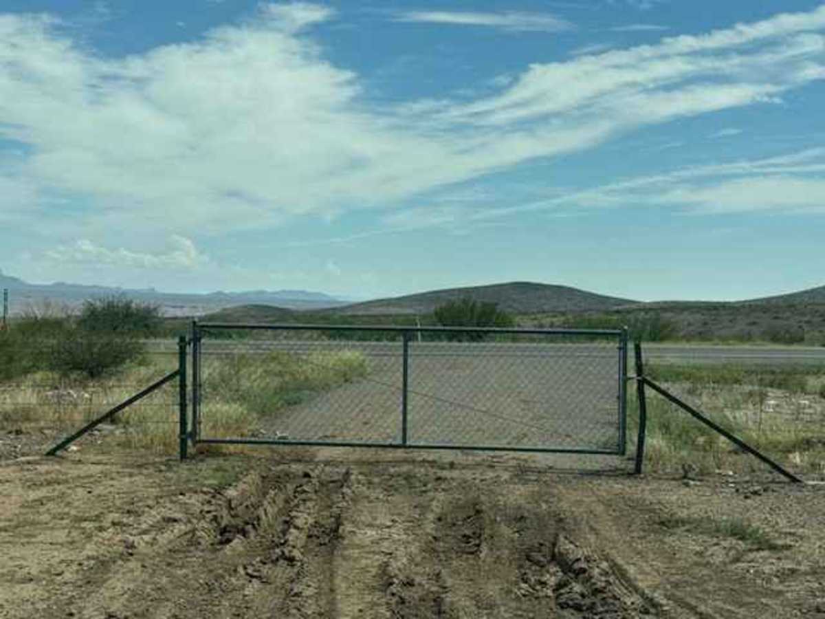 PE1183 trail photo