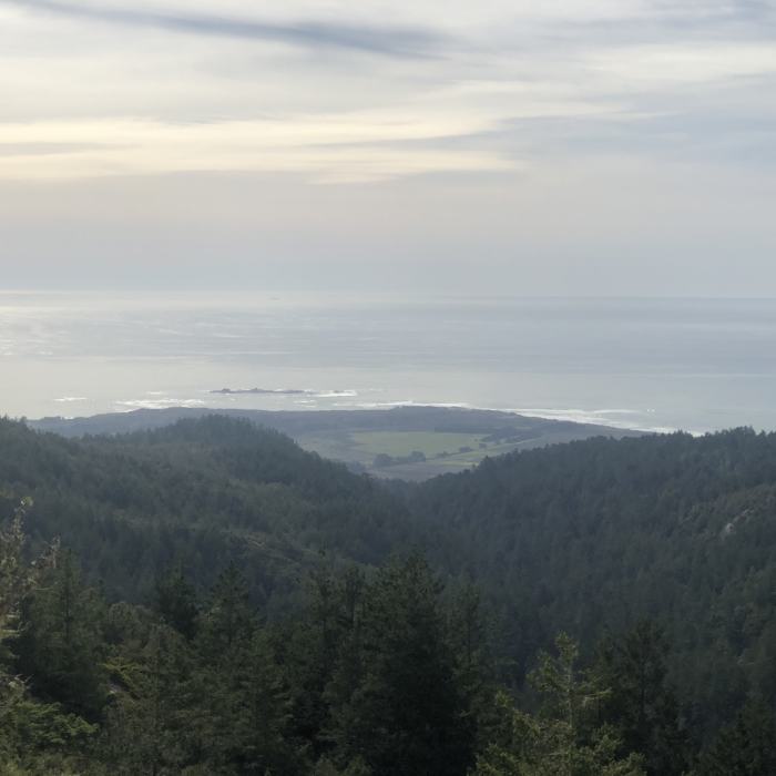 Near Chalk Mountain Loop