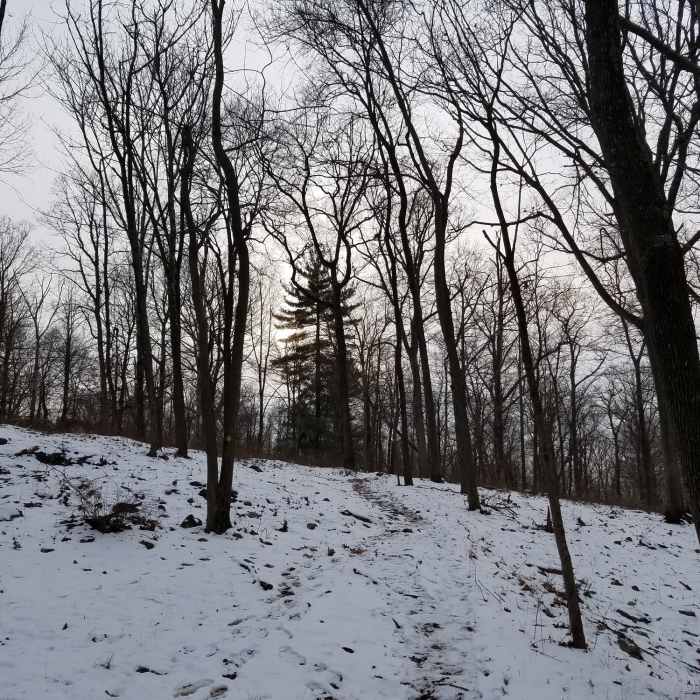 Near Lenape Trail
