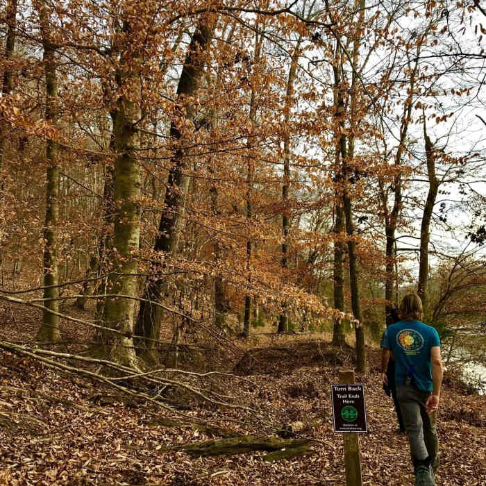 Near Haw River Trail: Saxapahaw Section