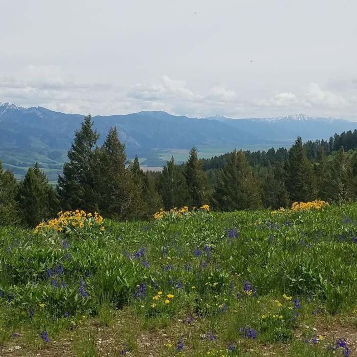 Near Kelly Mountain Loop