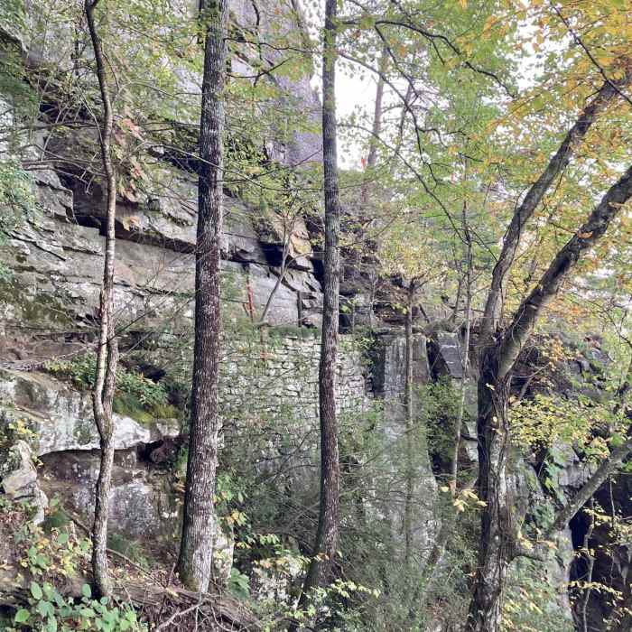 Near Bluff Trail (Sunset Rock to Point Park)