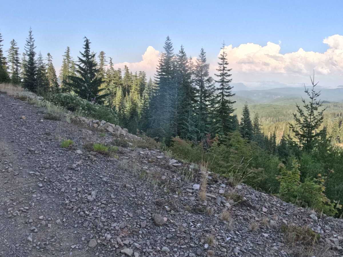 Trappers Butte - FS 1161 trail photo