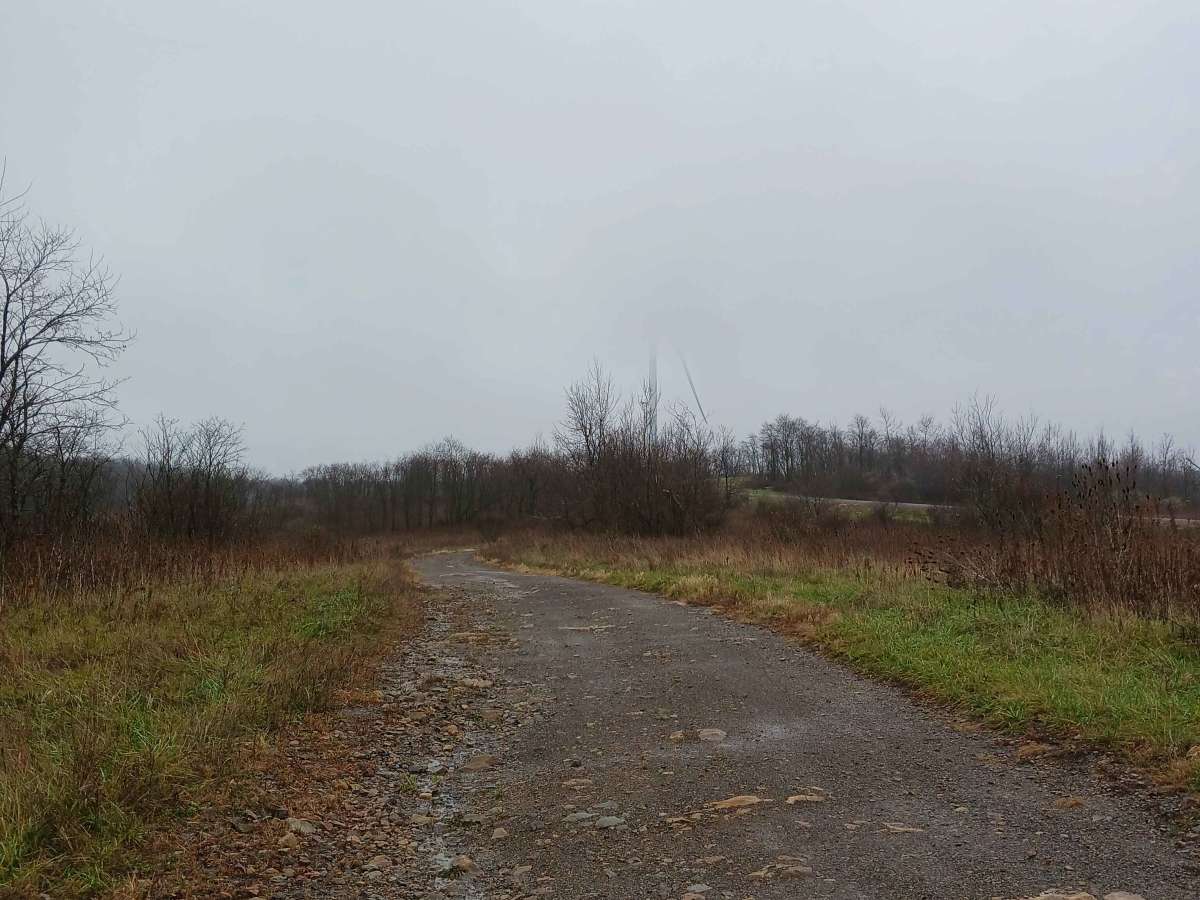Raptor Path - The OG - Rock Run Recreation Area photo 3