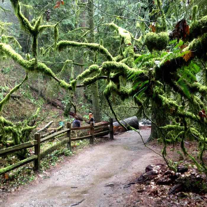 Near Cumberland Trail