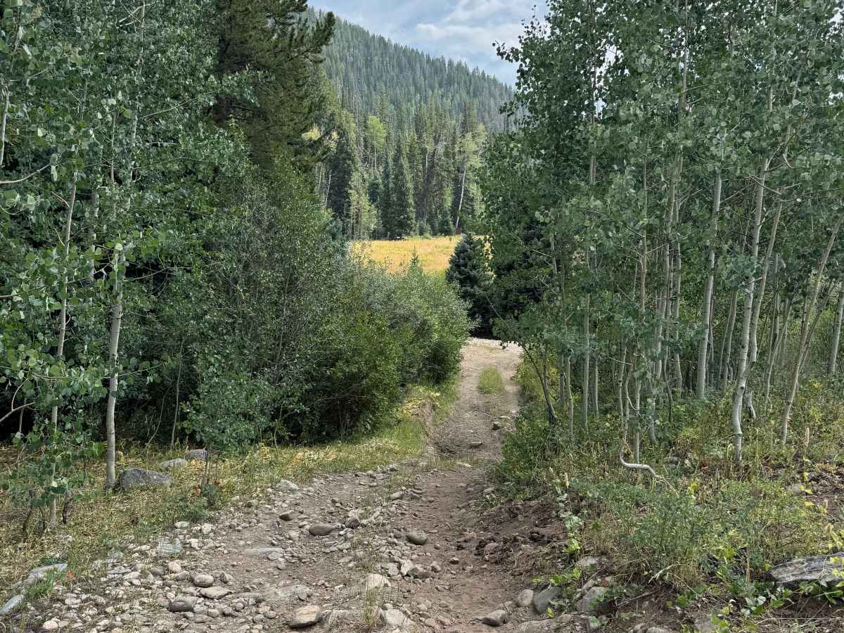 Bowes Spur Road - FS 471.1B photo 6