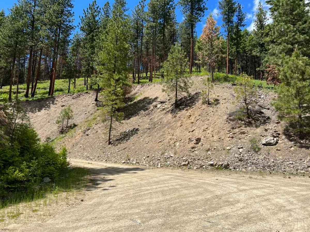 Kennedy Ridge 5507 photo 4