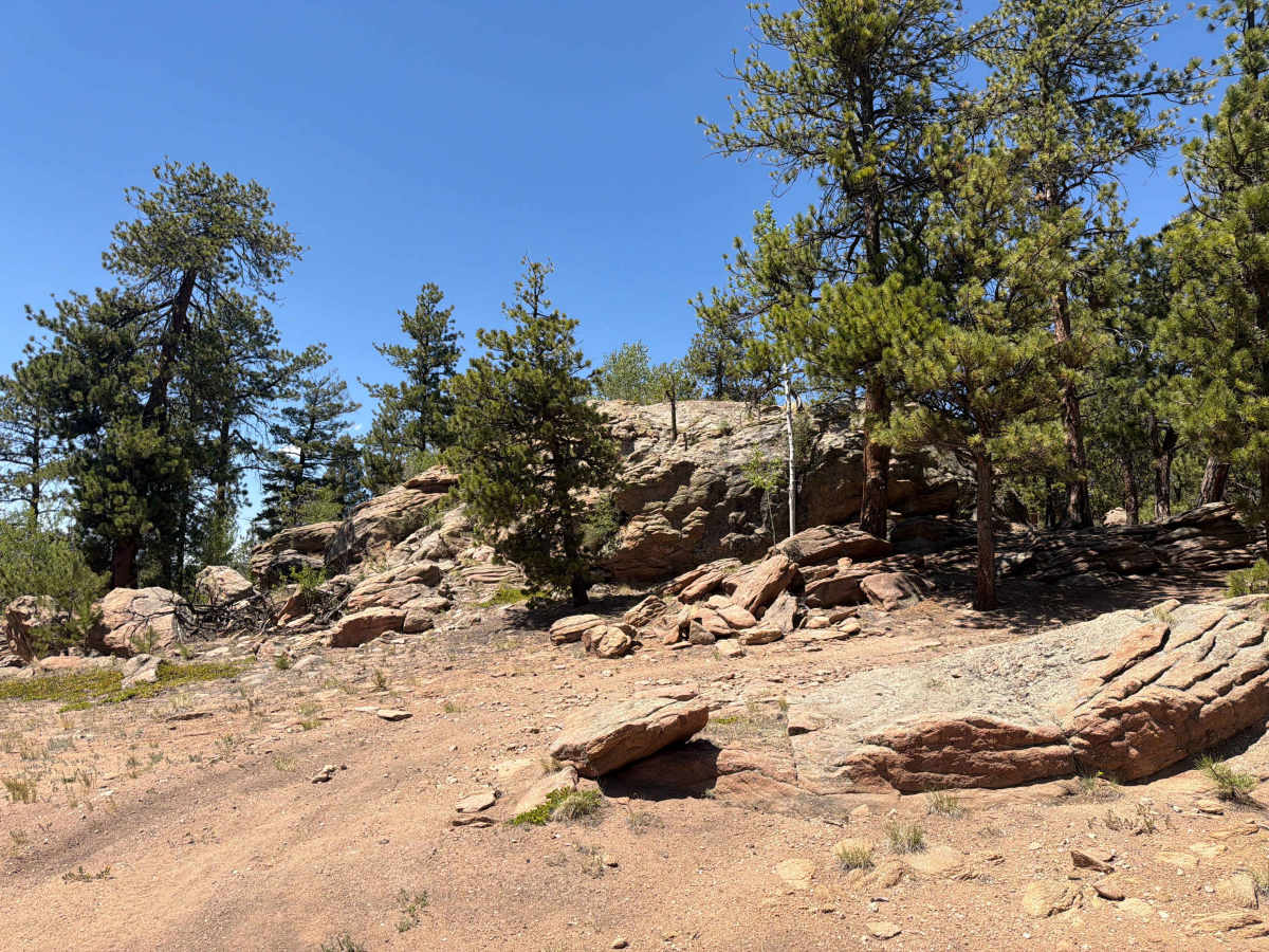 Crash & Burn Road - FS 243.2B trail photo