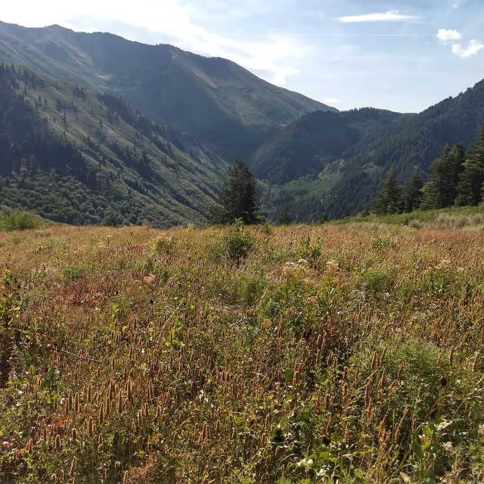 Near Slate Canyon/Rock Canyon Loop