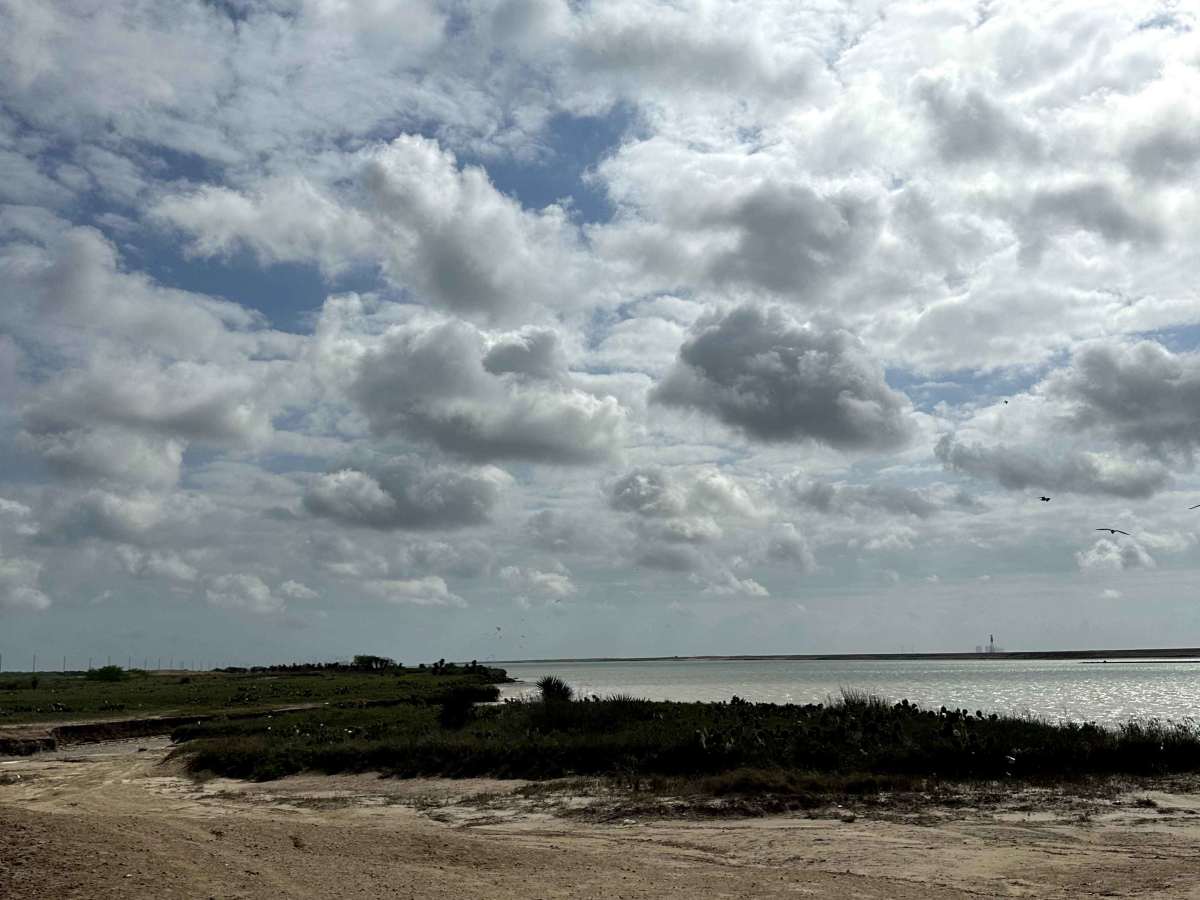 All Along The Ship Channel photo 2