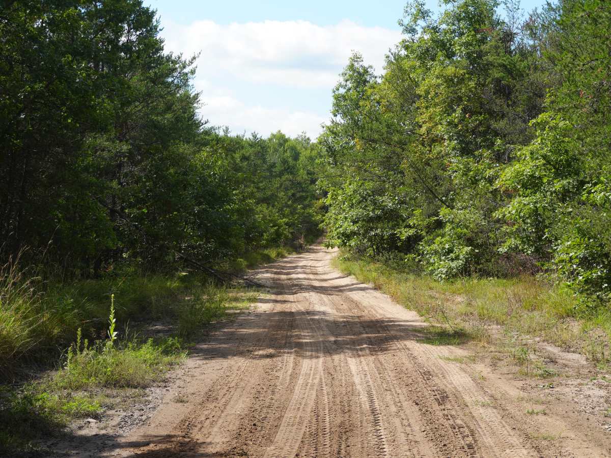Emery Road photo 2