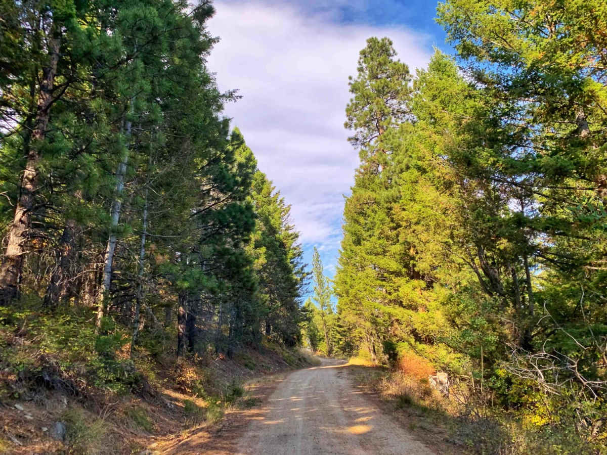 McCalla Switchbacks photo 4