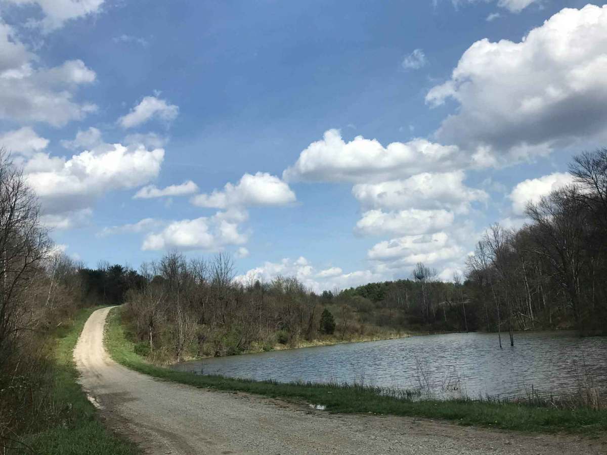 Township 283 photo 4