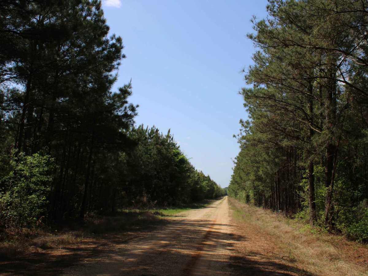 The Arkansas Overland Route - TrailHawk Loop - Section 15 photo 3