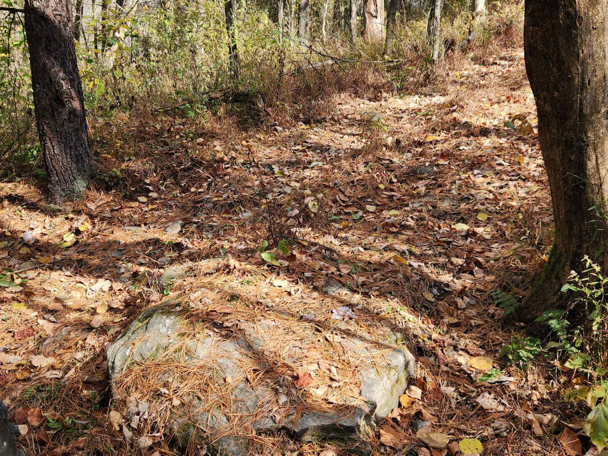 OHV 15 - Rock Run Recreation Area photo 3