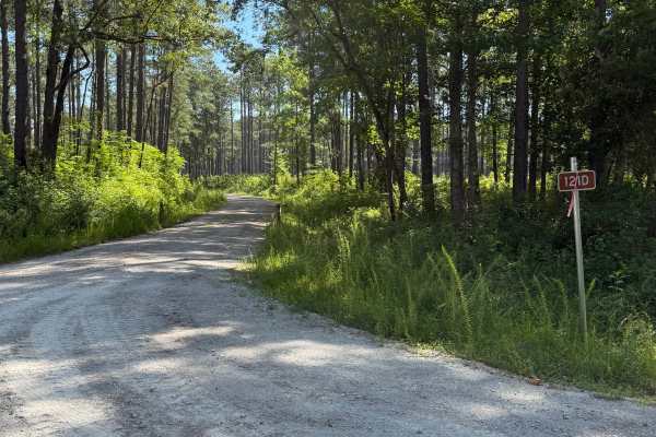Brown Road - FS 121D