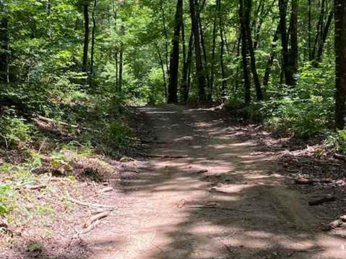 Indian Creek photo 4