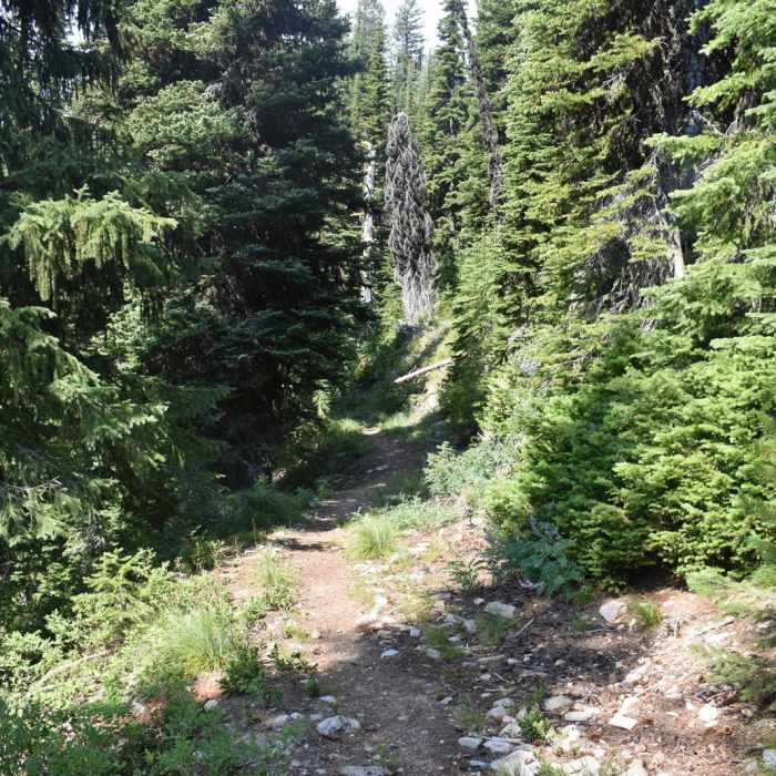 Near Illinois Peak Near Illinois Peak