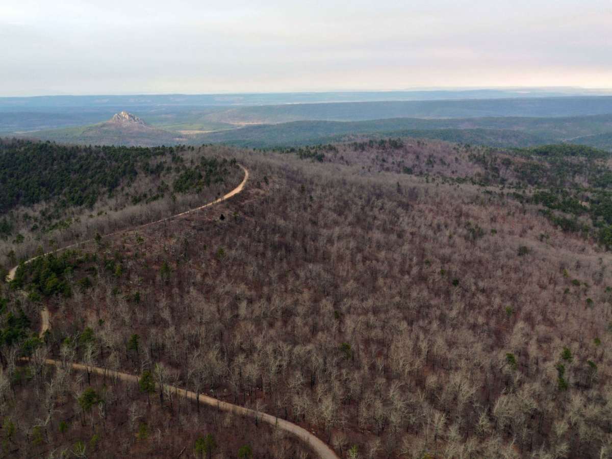 Winona Scenic Drive photo 3