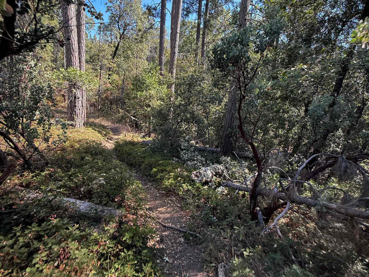 21E203 photo 6
