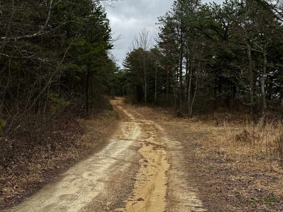 Slide Hollow Trail photo 2