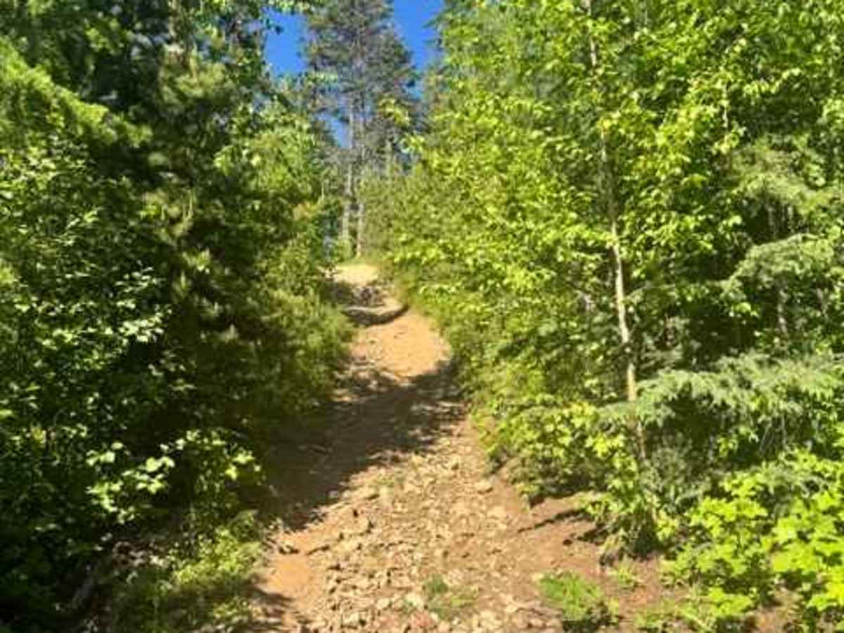 Vernon Hill  photo 4