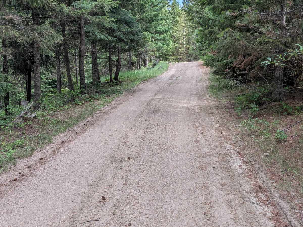Mineral Hill Road - FS 3700-520 photo 3
