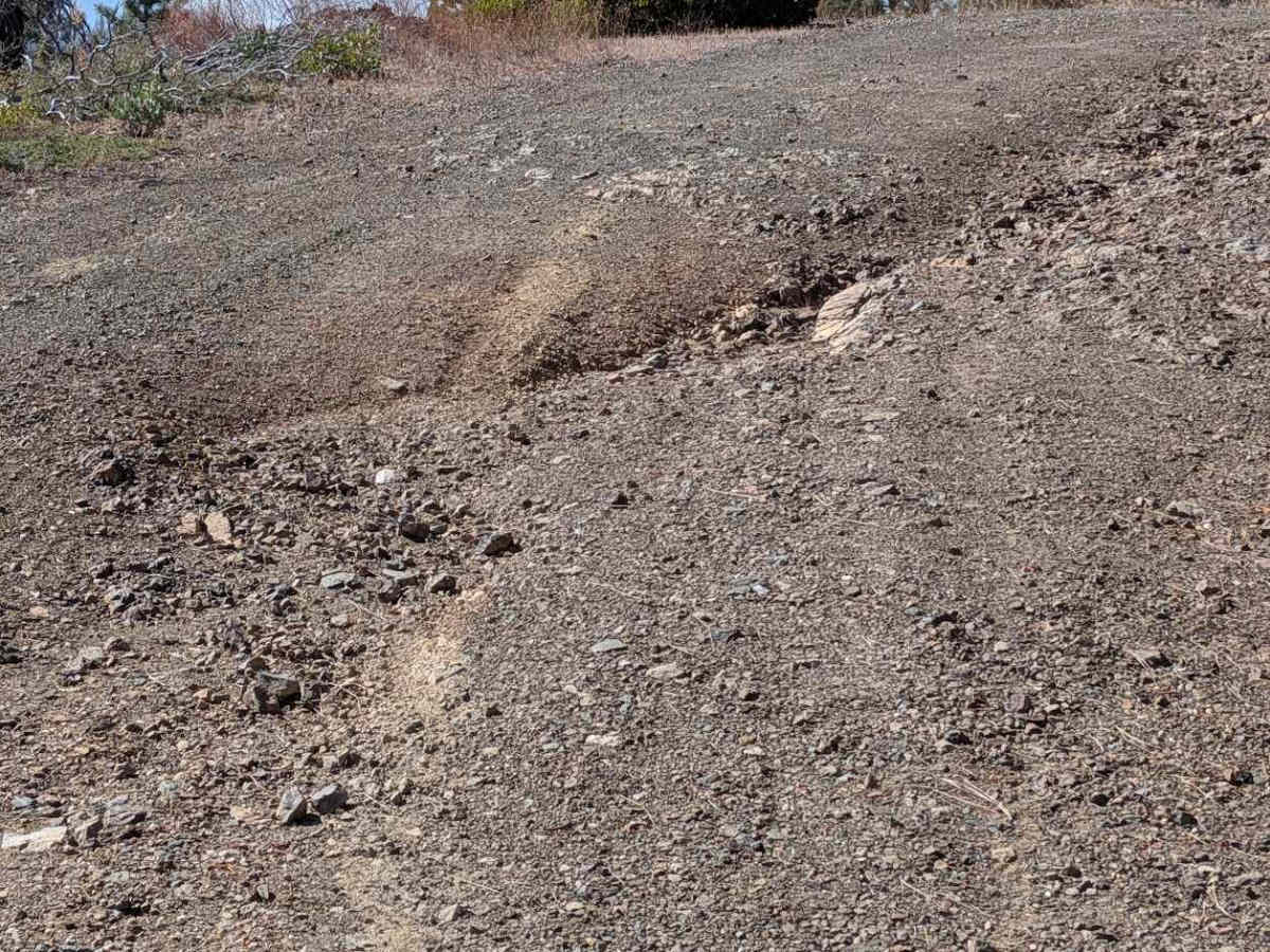 Panther Ridge Road - FS 29N33 photo 6