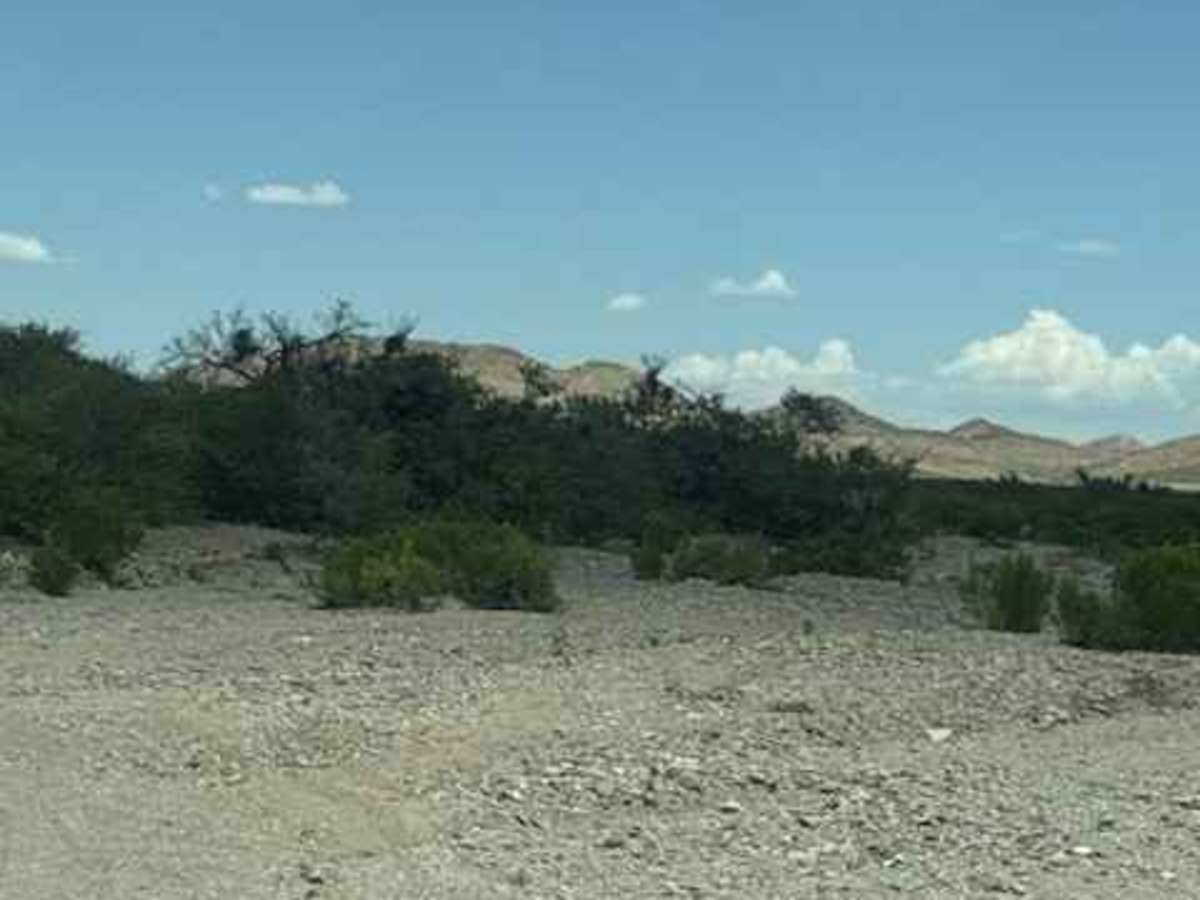 Ss1170 Part A photo 6