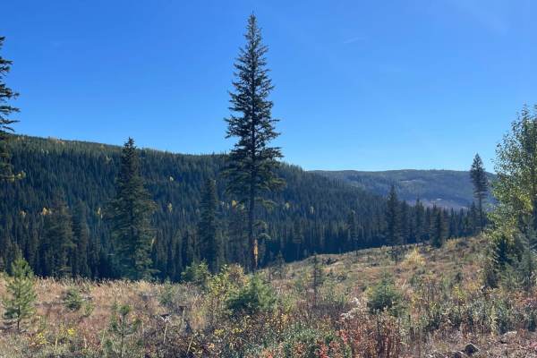 Philpot FSR - Ideal Lake to Highway 33