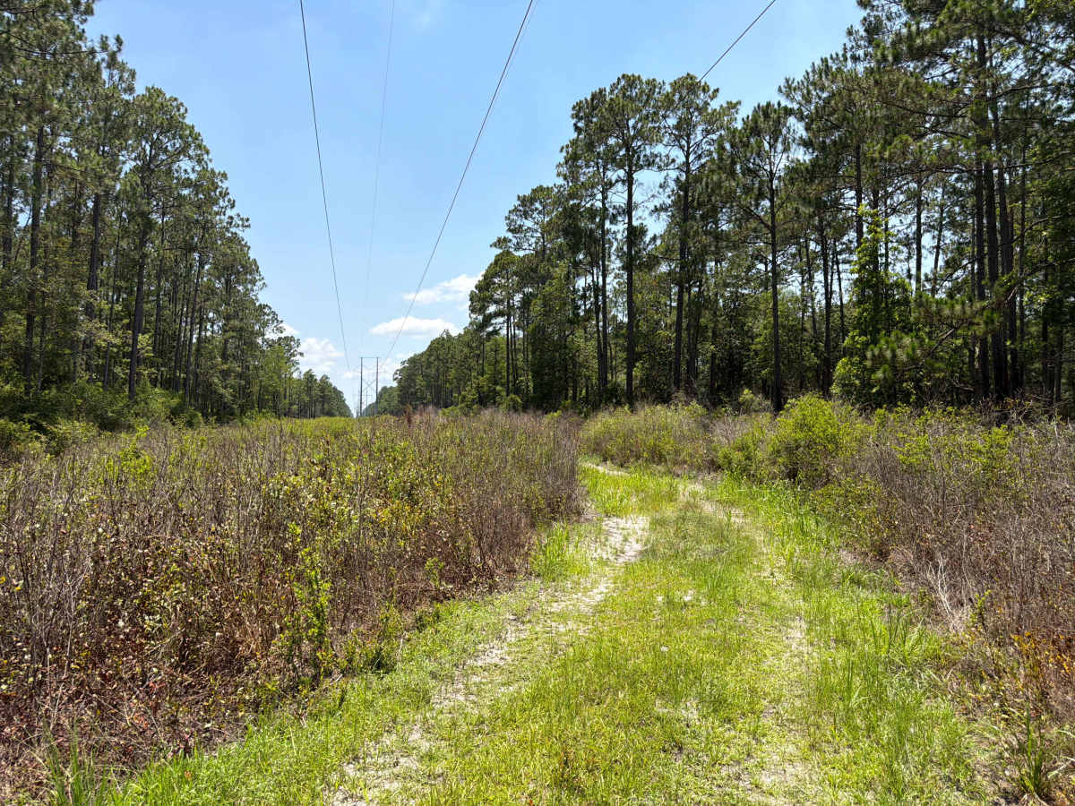 Powerline - FS 365J photo 4