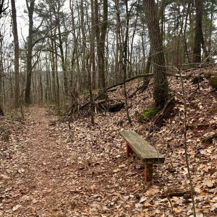 Pondering spot Near Ruffner Ridge and Quarry Loop