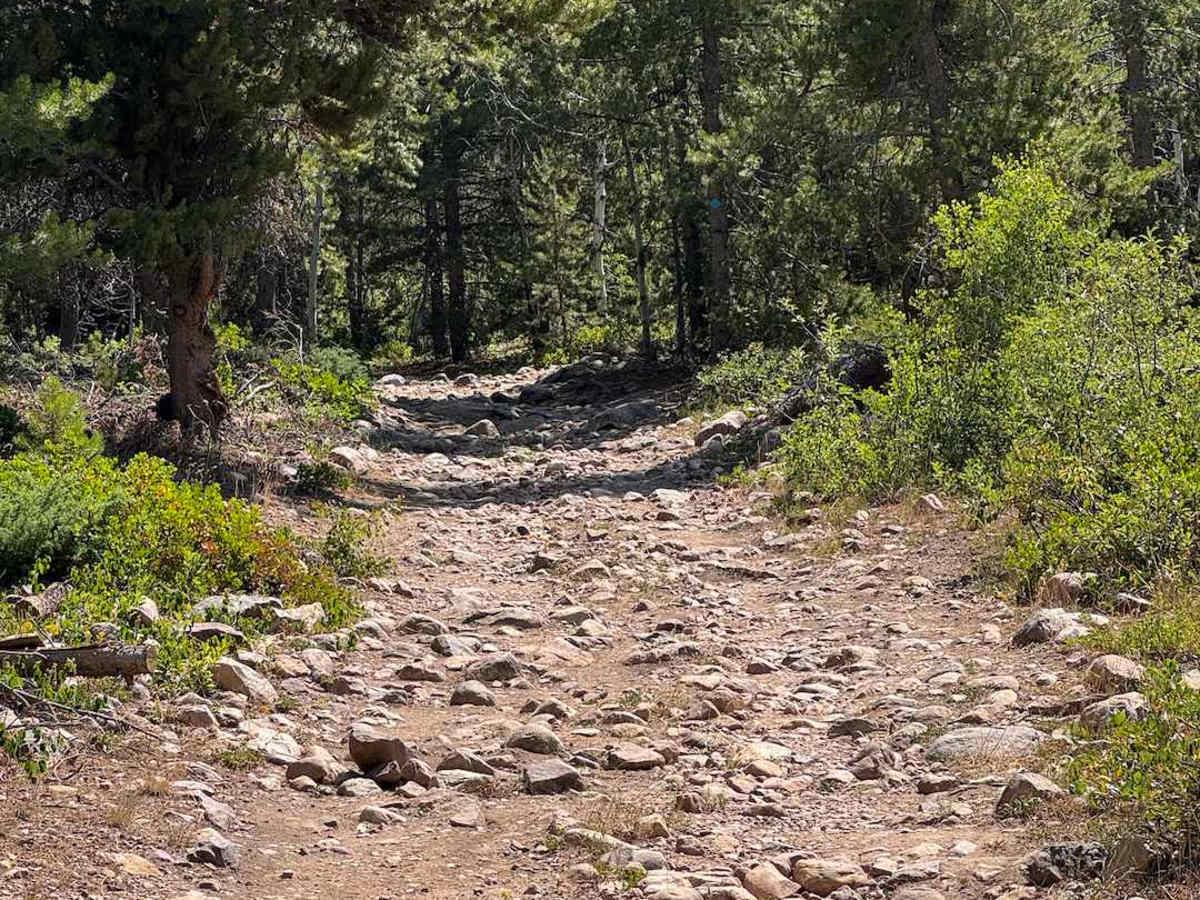North Fork of the Provo trail photo