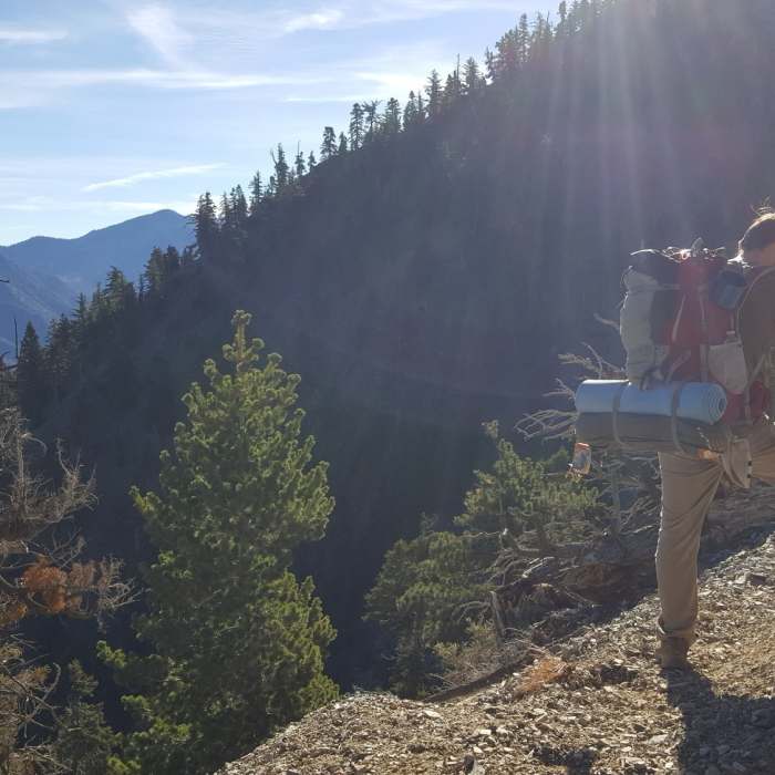 Near Mt. Baden-Powell from Vincent Gap