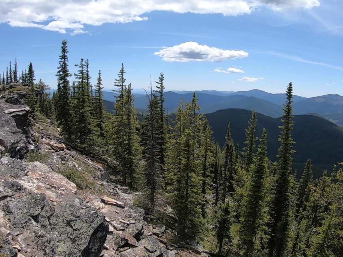 Mack King Trail photo 2