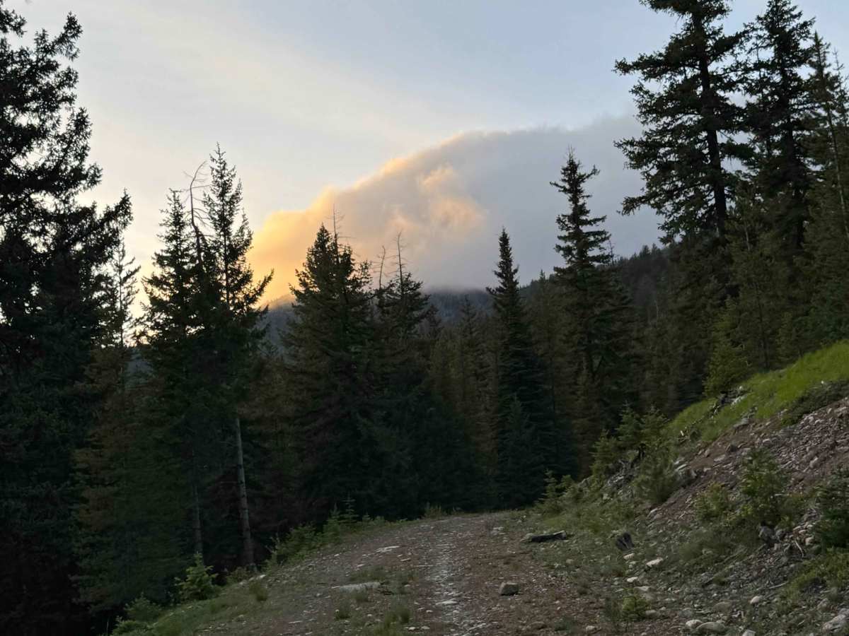 FS 5225-400 trail photo