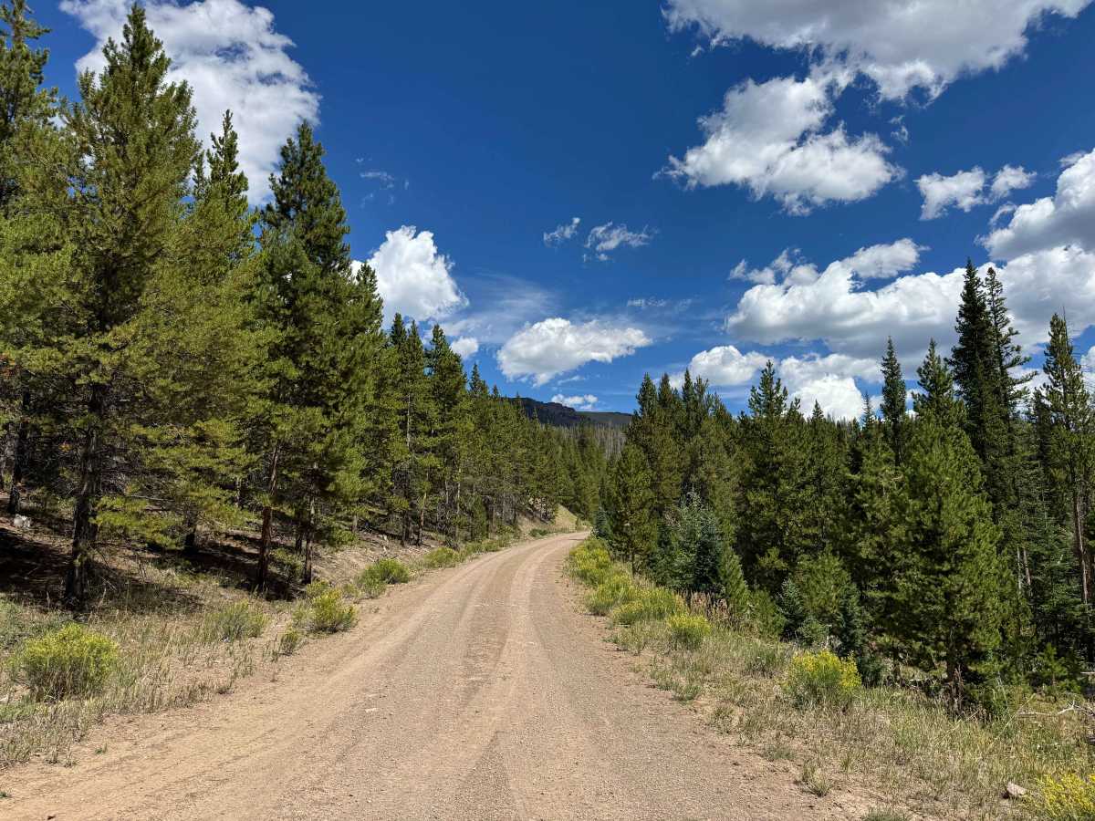 East Fork Road photo 2