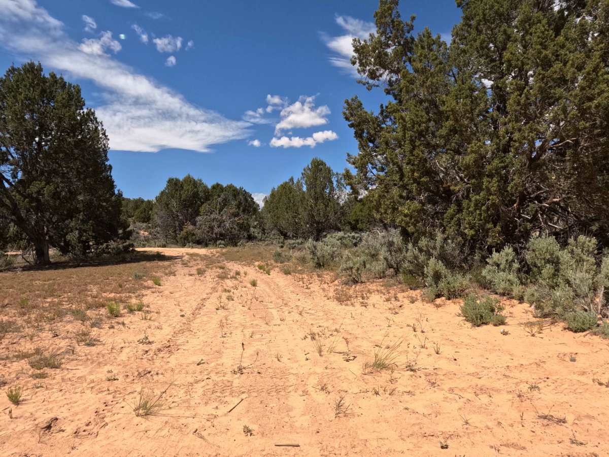 BLM 1013B photo 2