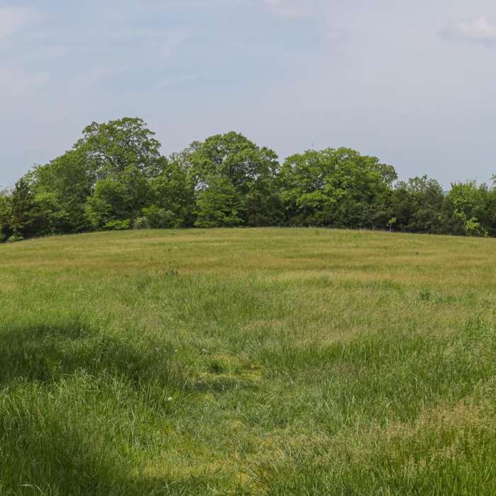 Near Lewis Family Memorial Conservation Area Trail