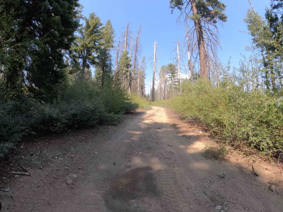 Dobler Meadow - FS 4S031 photo 2