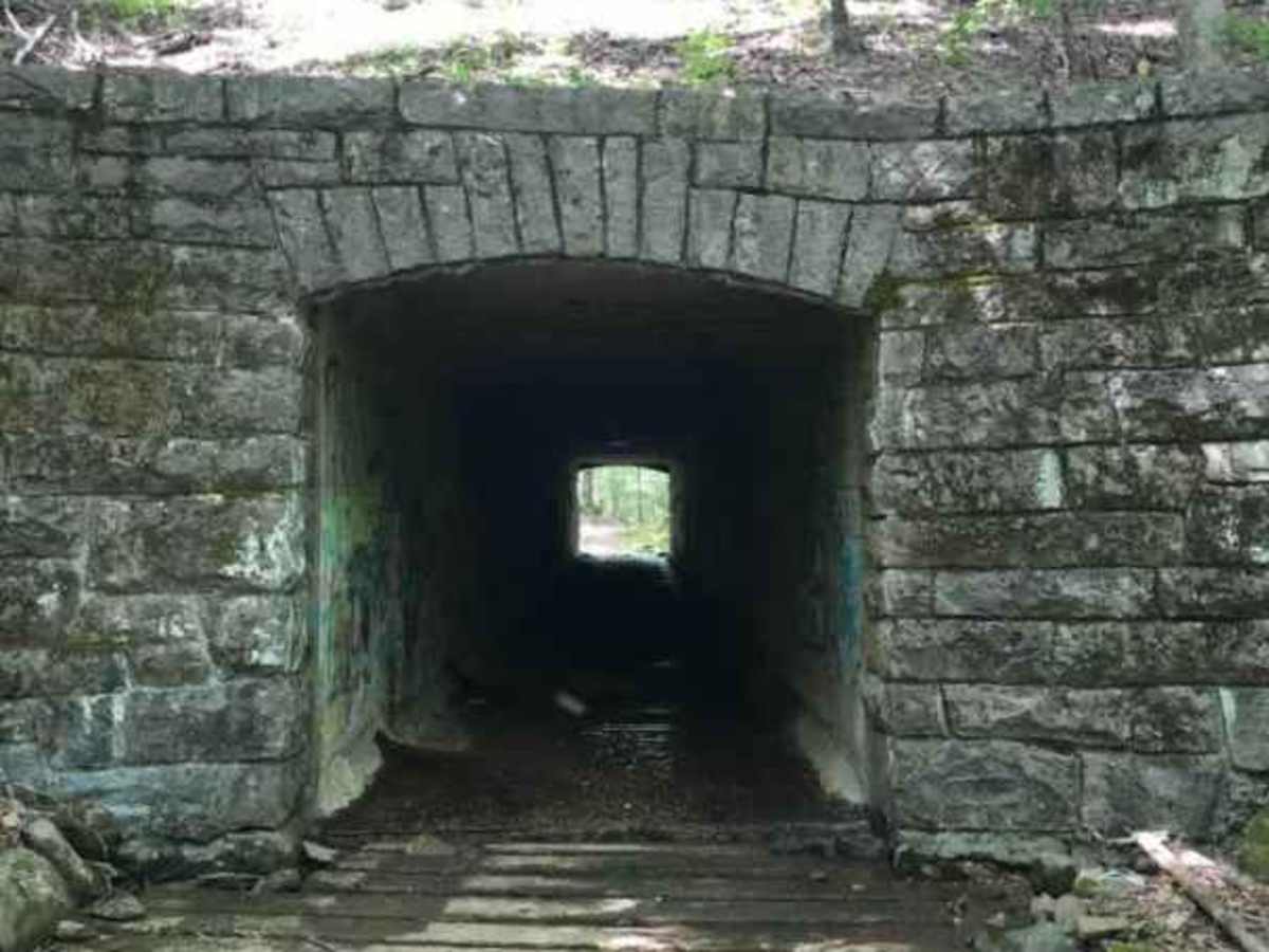 Enchanted Creek photo 6