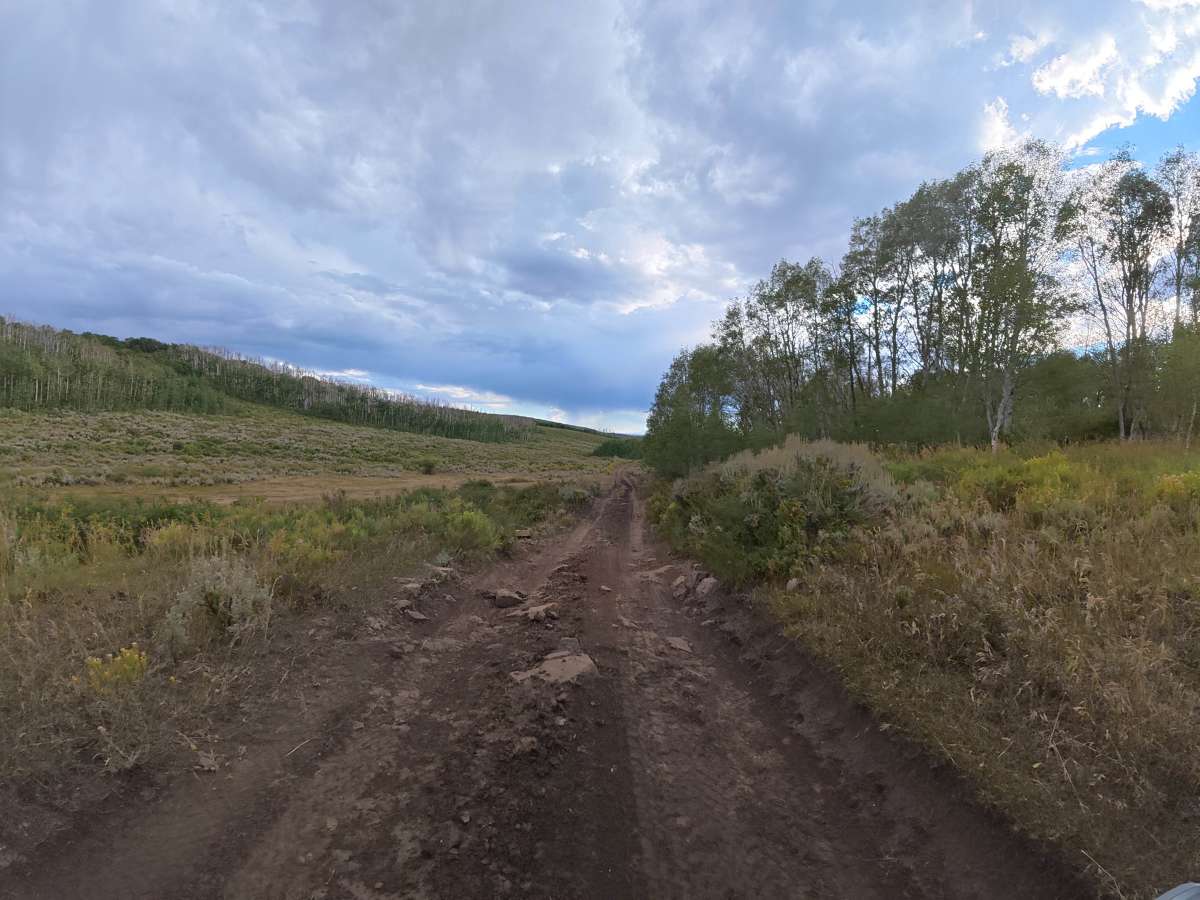 Bug Point Road photo 6