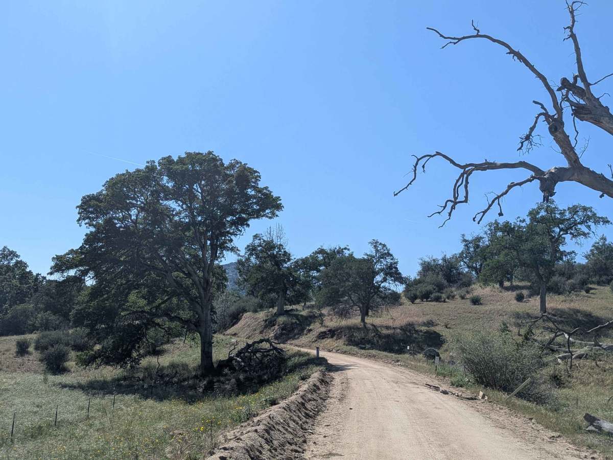 Coffee Creek Road photo 3