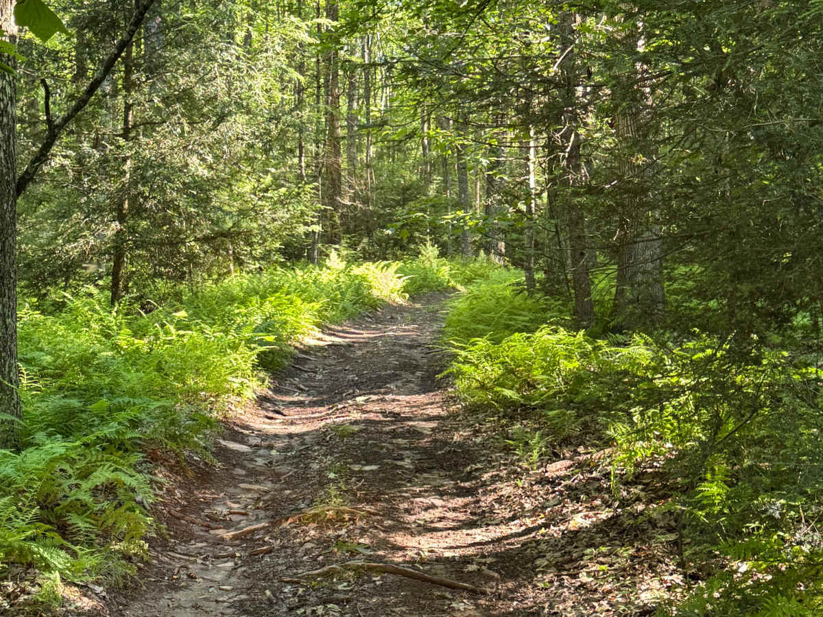 Pipeline Trail photo 3